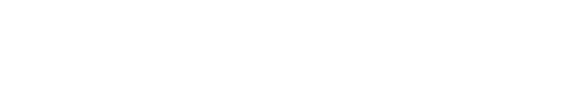 iDefender — IT Services Pvt Ltd