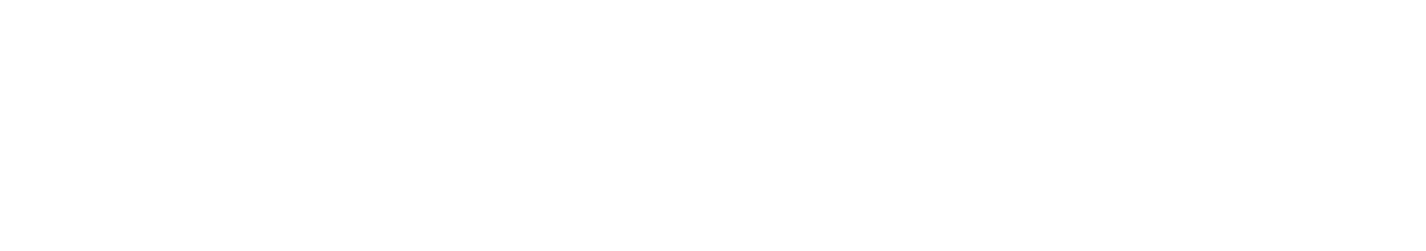 iDefender — IT Services Pvt Ltd